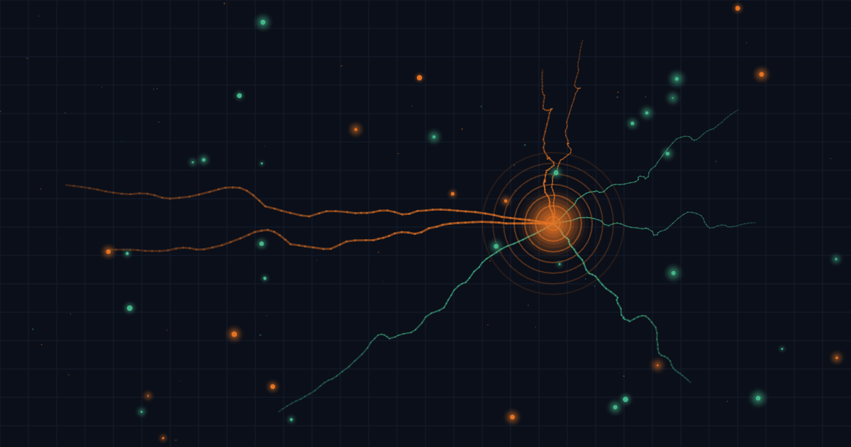 Visualization of template optimization with branching nodes converging into optimized paths